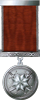 «Hərbi xidmətlərə görə» medalı